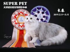 -超宠爱宠物摄影-Super pet