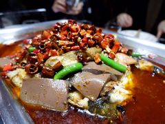 毛血旺烤鱼-辣尚瘾·烤鱼·新川菜(交大直营店)