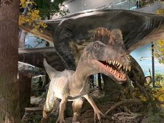 -湖南省地质博物馆