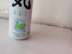 青瓜味苏打气泡水-童婆婆酥肉(双楠店)