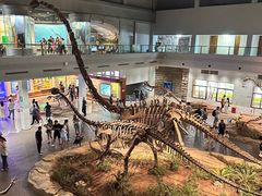 -自贡恐龙博物馆