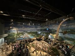 -自贡恐龙博物馆