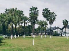-江心屿景区
