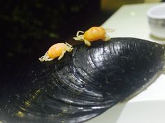 -威海渔村(静安旗舰店)