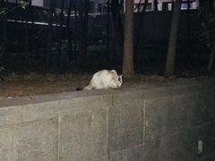 -山东大学(千佛山校区)