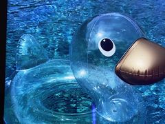 -上海滴水湖皇冠假日酒店