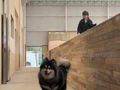 -昆城国际马术中心