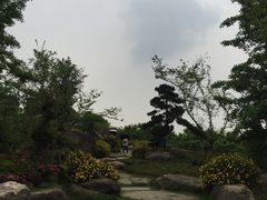 -秀丽东方