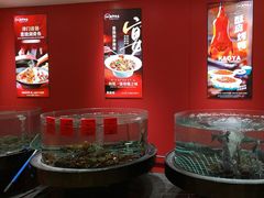 -新华饭店·新津菜·酥皮烤鸭·海鲜(津湾广场店)