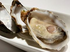 -Oyster Talks 四度蚝法餐厅