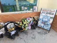 -青藏高原野生动物园
