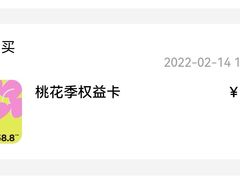 -Seesaw Coffee(上海国金中心店)