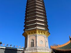 -八大处公园