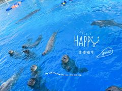 -海合安天津极地海洋公园