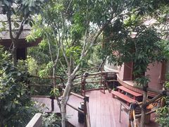 android_upload_pic-三亚亚龙湾人间天堂鸟巢度假村