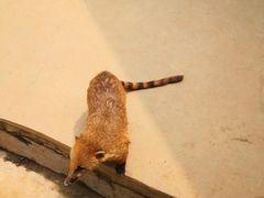 -杭州野生动物世界