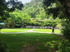 -野象谷景区