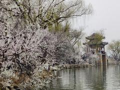 -颐和园