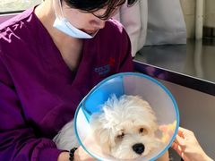 -酷宠动物医院(天通西苑店)