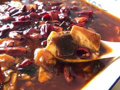 牛肉豆腐-天回镇何氏豆腐(总店)