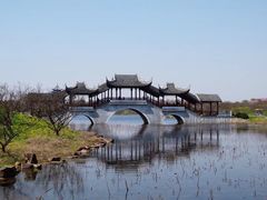 -上海海湾国家森林公园