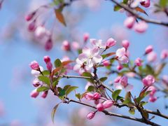 -白塘生态植物园