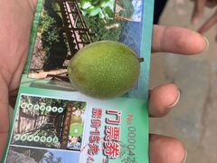 -大岭沟猕猴桃谷风景区
