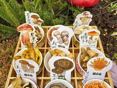 -菌自由丨野生菌火锅特色庭院餐厅(丽江古城店)