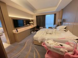 -大美母婴月子中心(希尔顿店)