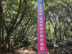 -宝界山林公园