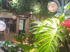 -森味薪火烧•烧鸟居酒屋•日本料理(望京店)