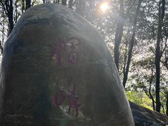 -广州市帽峰山景区
