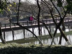 -八卦田遗址公园