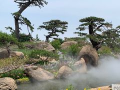 -罗红摄影艺术馆