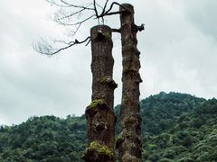 -冕宁灵山寺