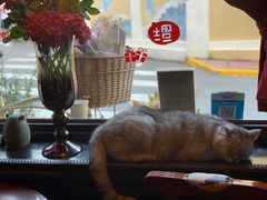 -不舍昼夜咖啡馆