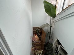 -Rabbit Cafe私房西餐甜点咖啡(栖霞路店)