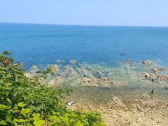 -养马岛旅游度假区