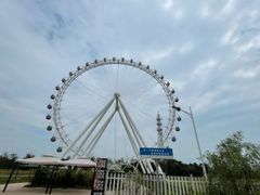 -渡海小渔村.老辈日照菜