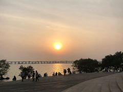 -宝安西湾红树林湿地公园