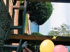 -丁香湖公园