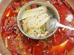 -金鼎雪山牦牛杂火锅(理县总店)