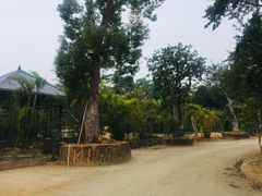 -大地土窑菜馆·特色罗浮农家菜(罗浮山景区店)