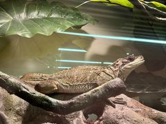 -朵云书院(滴水湖店)