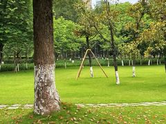 -重庆中央公园(渝北区)