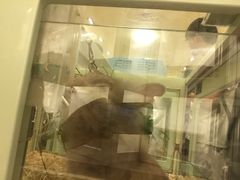 -龙猫仔乐园(惠福东路店)