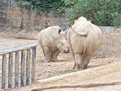 -泉州海丝野生动物世界
