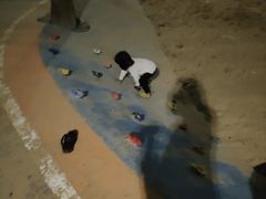 -四海公园(南山区)