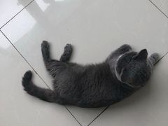 -宠福鑫康馨动物医院·骨科·眼科