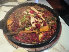 -老板恋上鱼(高新万达店)